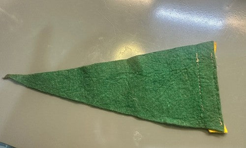 Silver Springs Florida 1940’s Silver Springs Pennant 8.5x4 Water Scene Pennant