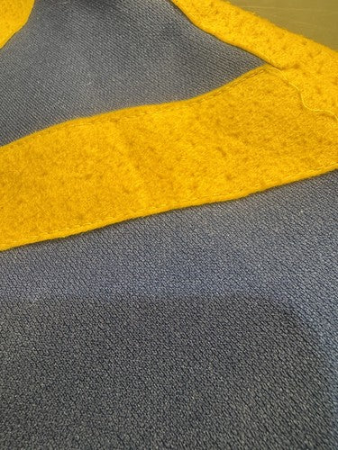 VINTAGE RARE ORIGINAL DELTA UPSILON FRATERNITY FLAG 37” x 29”