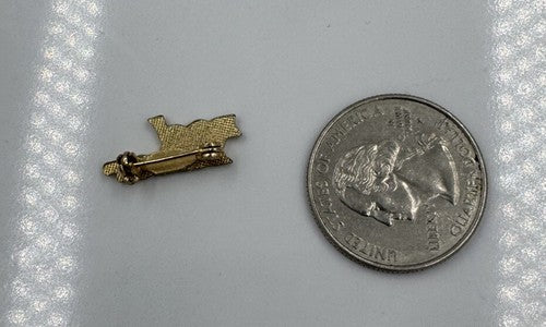 EARLY RED RIVER SKI AREA Ski Pin Retro Lettering Vintage New Mexico