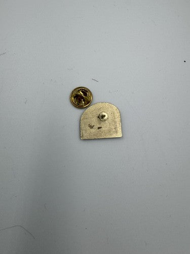 University Of Iowa Hawkeyes NCAA Hat Lapel Pin Vtg