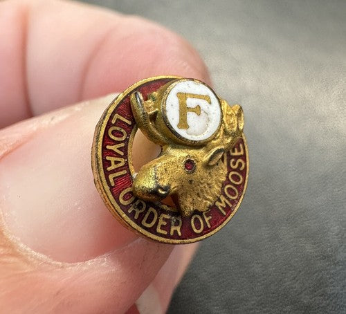 Vintage Loyal Order Of Moose Pin w/Gold F on White Background Above Moose