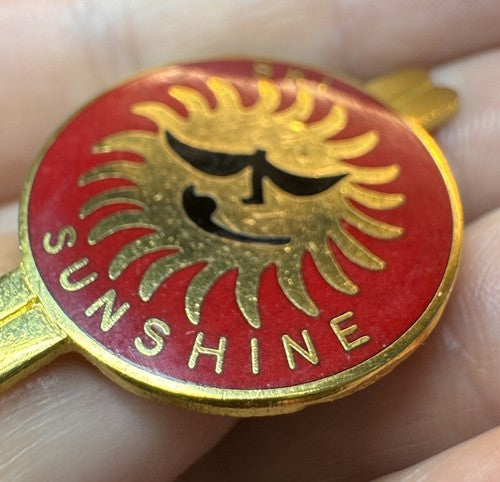 Banff Ski Sunshine Resort Alberta Canada Skiis Ski Pin HARD TO FIND