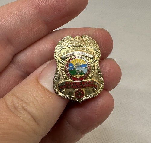 Painted Rocks Fire & Rescue Company Montana Vintage Firefighter Badge PIN