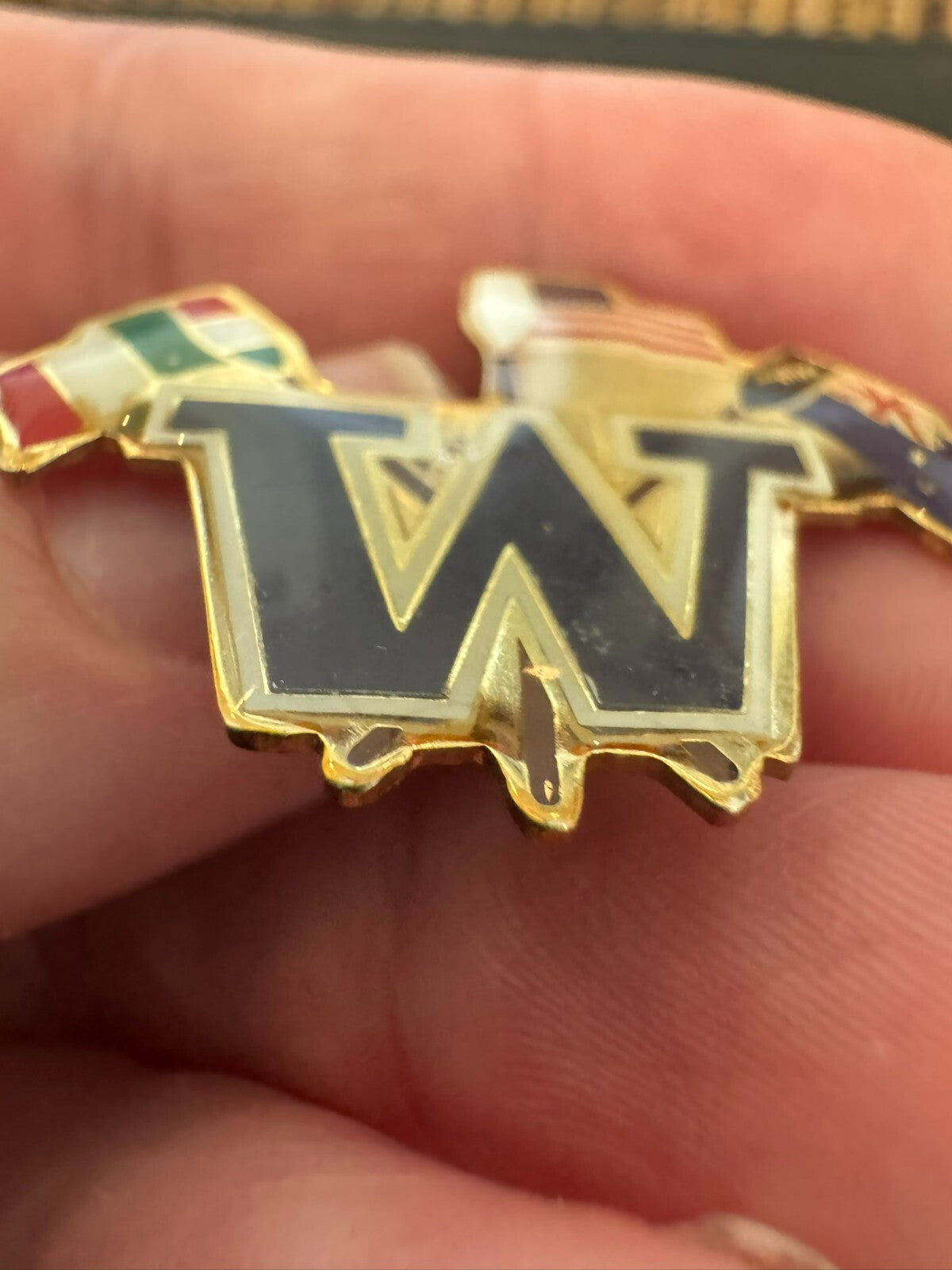 University of Washington Crew Team Lapel Pin Flags UW Rowing Oars