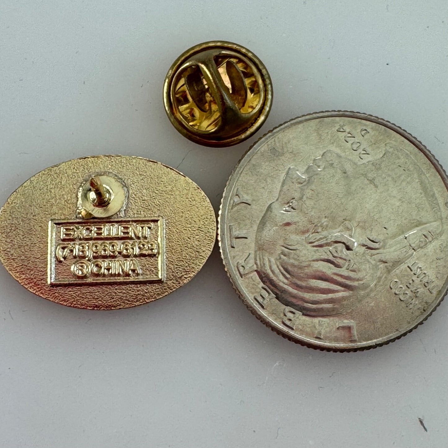 Lions Strengthen the Pride Lapel Pin