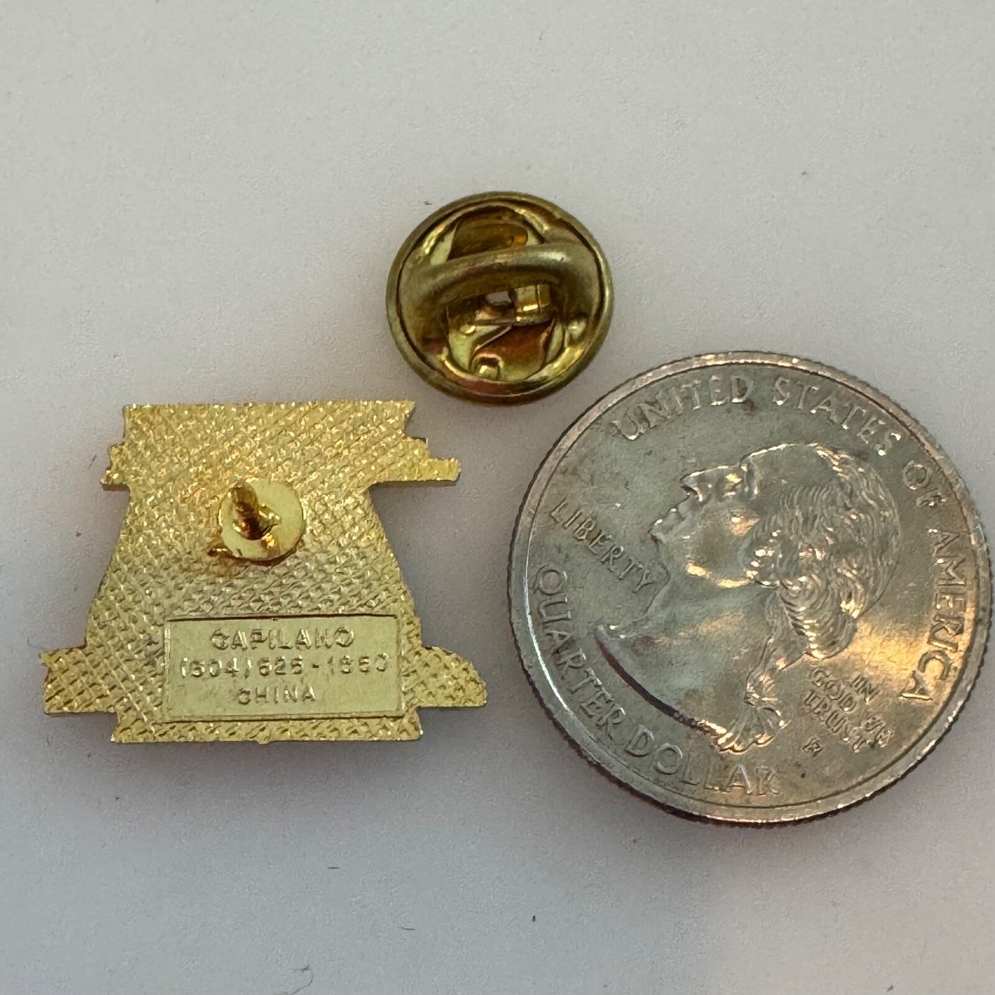 Vintage Waterton Park Prince of Wales Hotel Alberta Canada Lapel Pin Souvenir