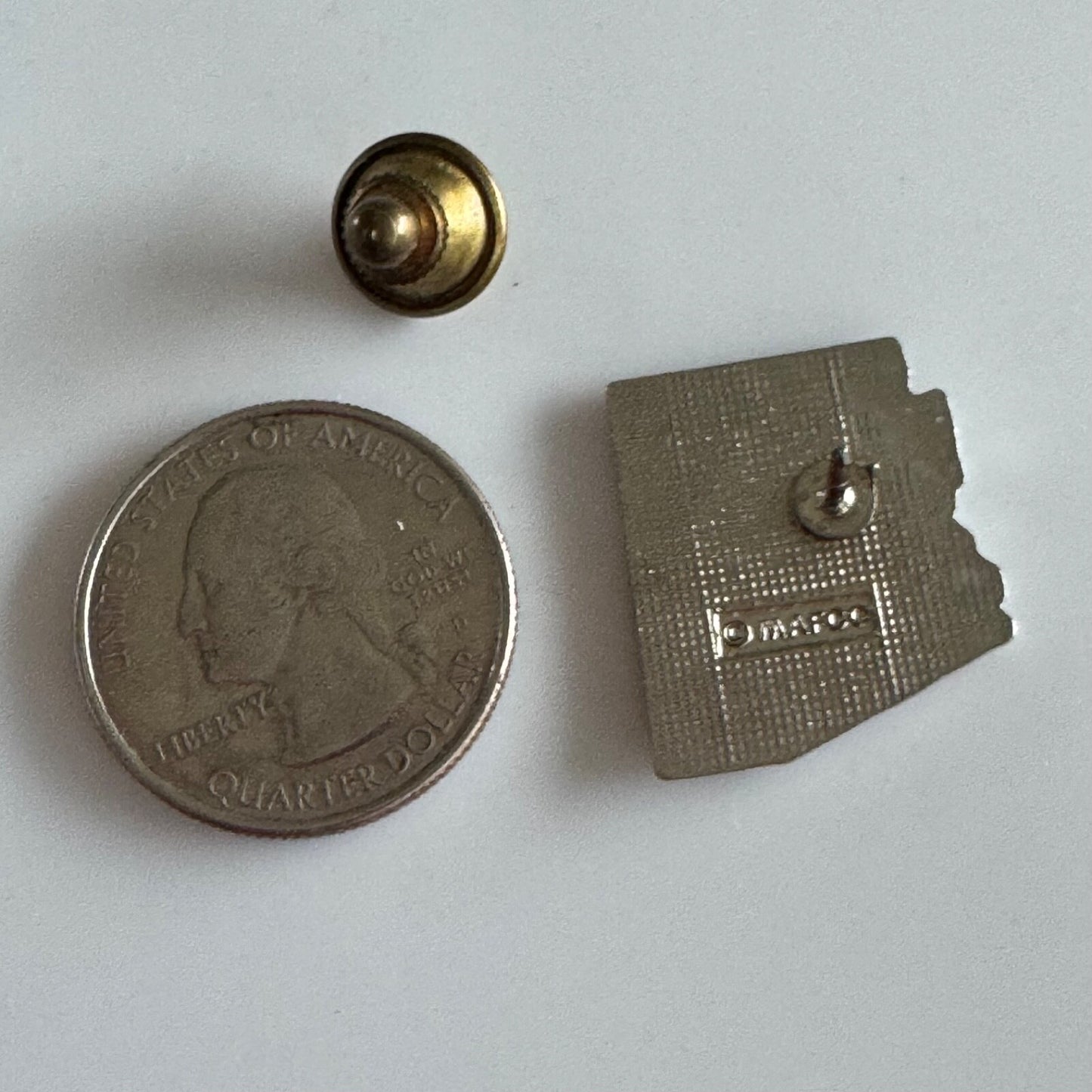 Vintage Arizona AZ State Shaped Saguaro Cactus Souvenir Lapel Pin