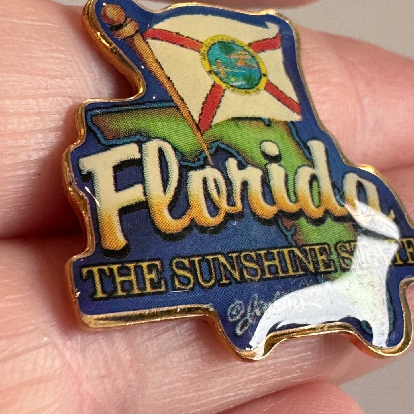 Florida The Sunshine State Flag Lapel Pin Souvenir Tourist