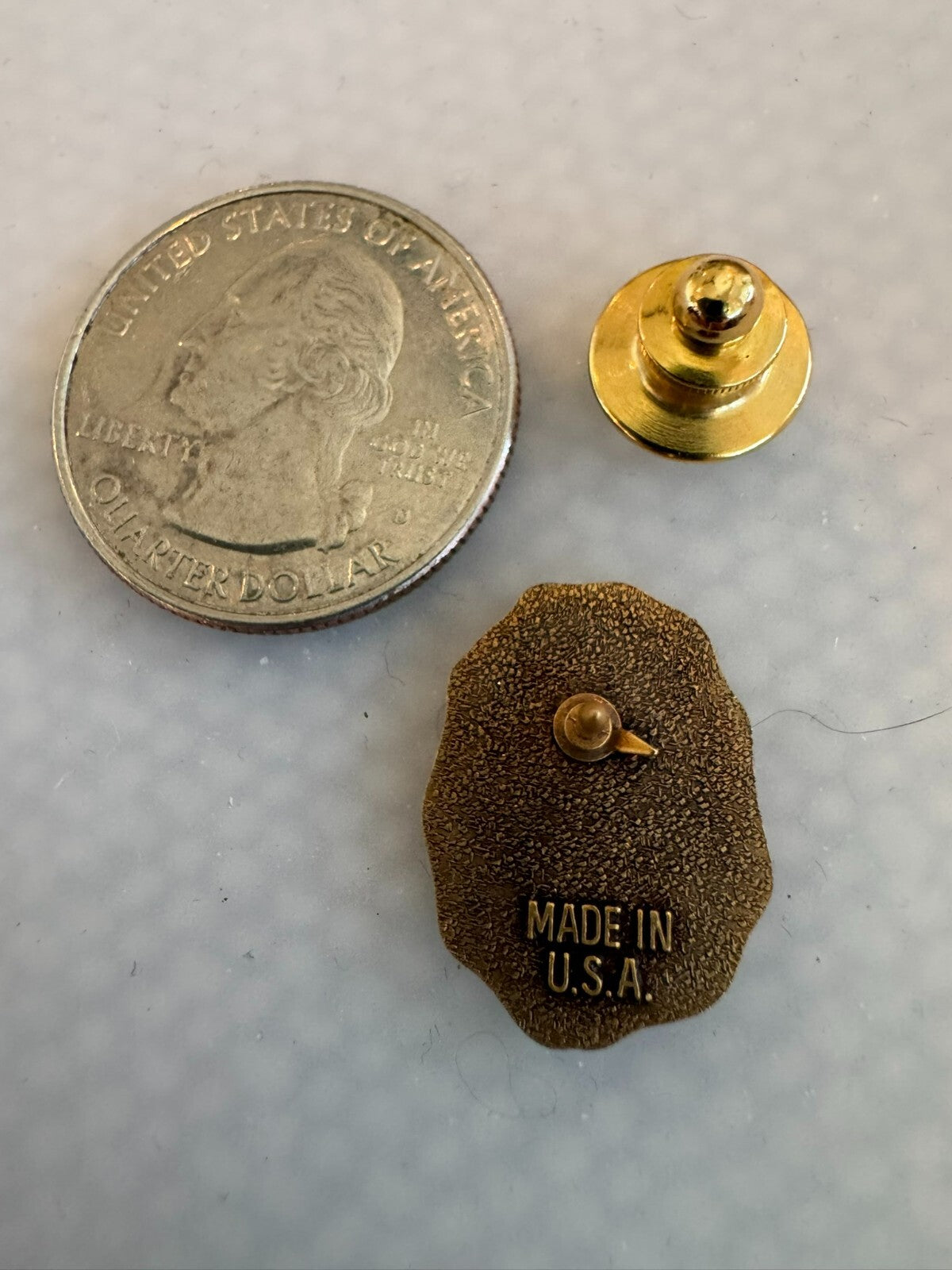Vintage Sierra Club Life Member Lapel Pin Tie Tack