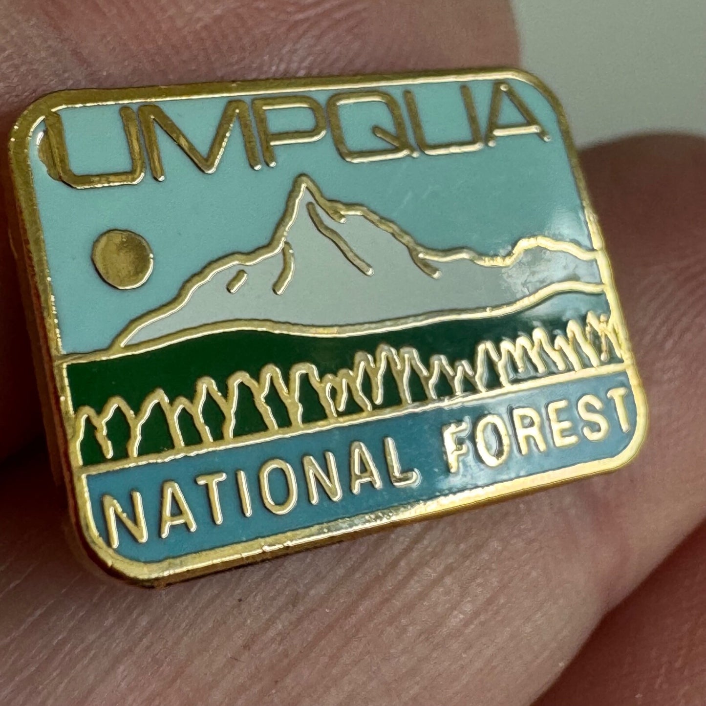 Vintage Umpqua National Forest Lapel Pin Oregon