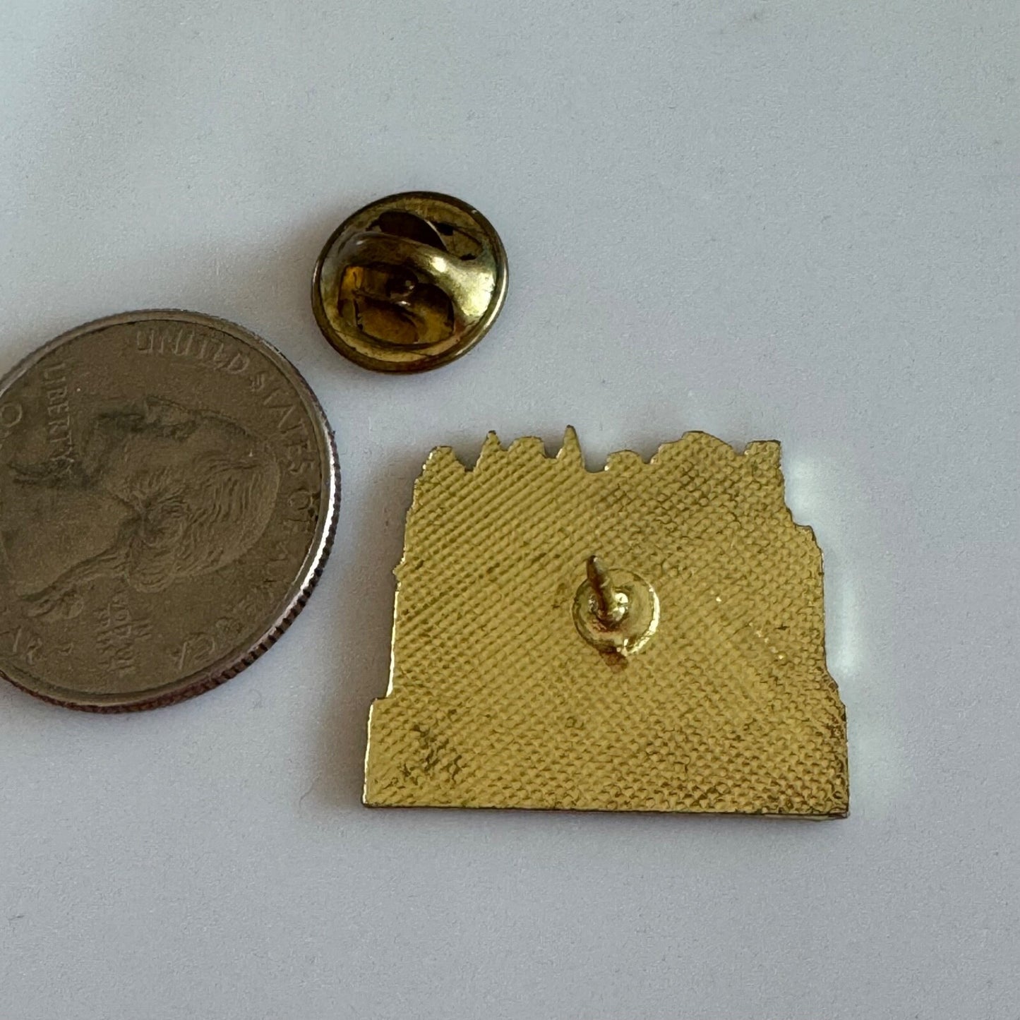 Vintage Charleston South Carolina Row Houses Lapel Pin SC Souvenir Tourist