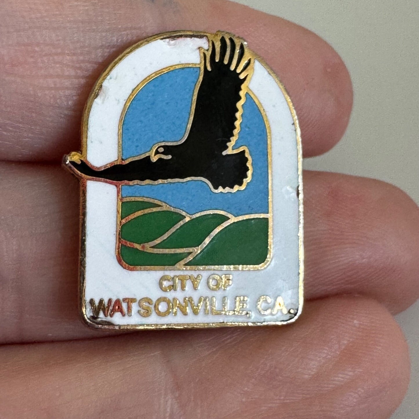Vintage City of Watsonville California Eagle Pin Rare