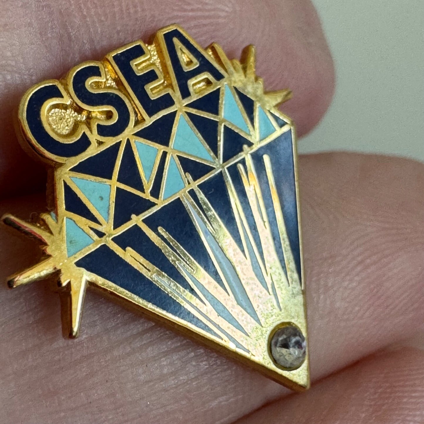 Vintage California School Employees Assn CSEA Union Achievement Award Pin
