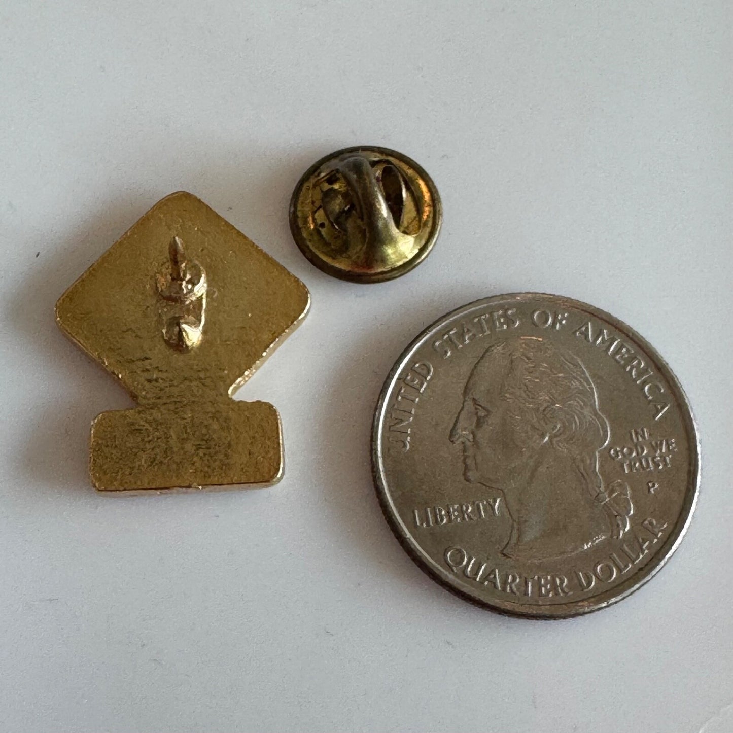 Algonquin Park Moose Crossing Yellow Road Sign Souvenir Pin
