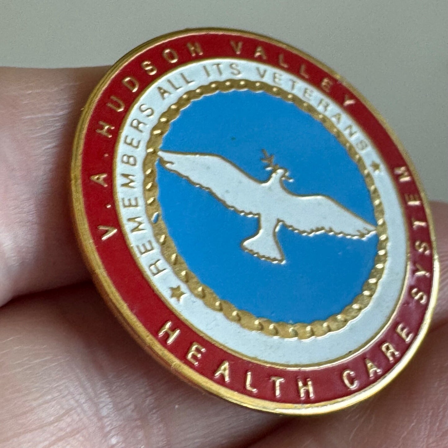 VA Hudson Valley Health Care System Lapel Pin Veterans Affairs V.A.