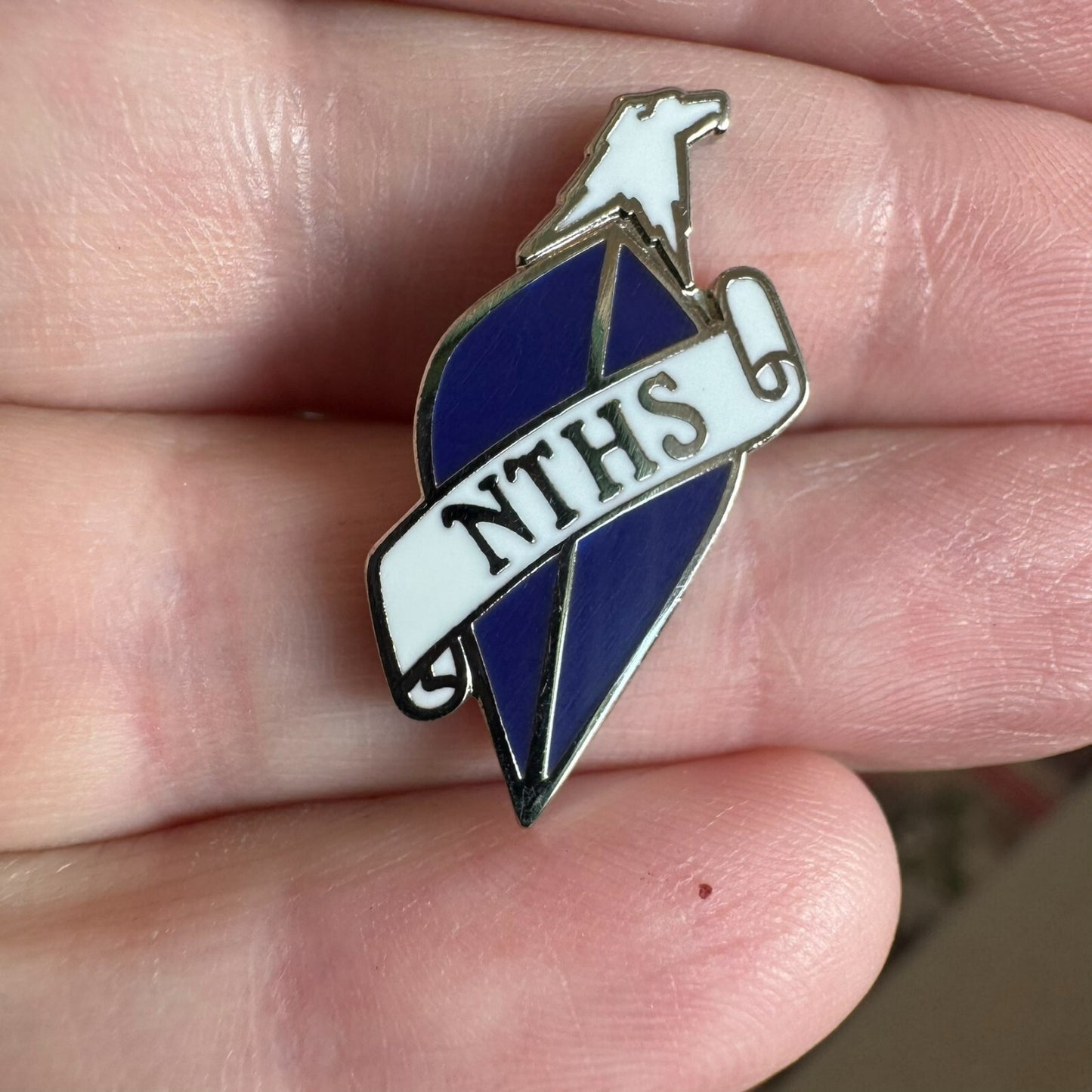 NTHS National Technical Honor Society Member Lapel Pin