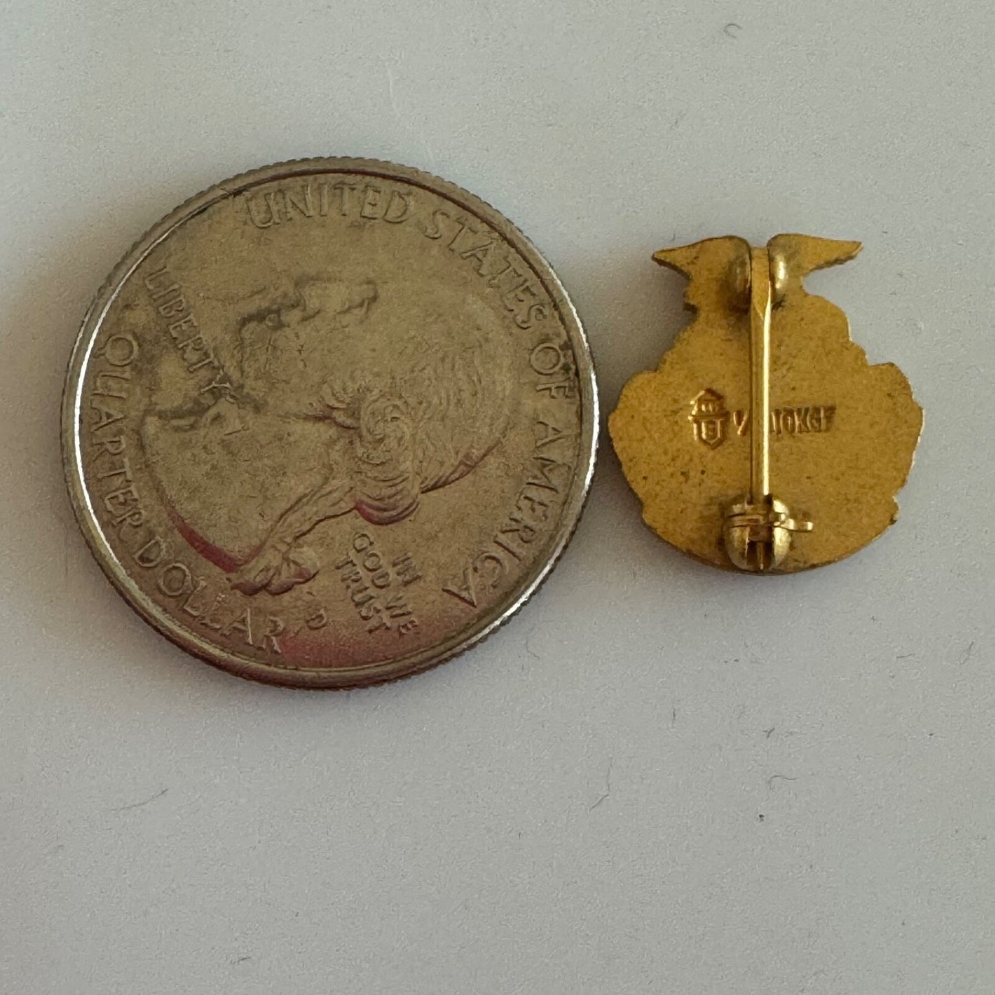 Vintage Honorary FFA Degree Gold Tone 1/10 10k Gold Filled Balfour Vocational Ag