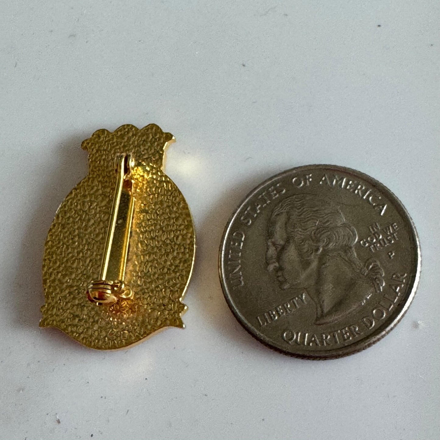 Vintage Beta Sigma Phi New Westminster The Royal City Crest Enamel Pin