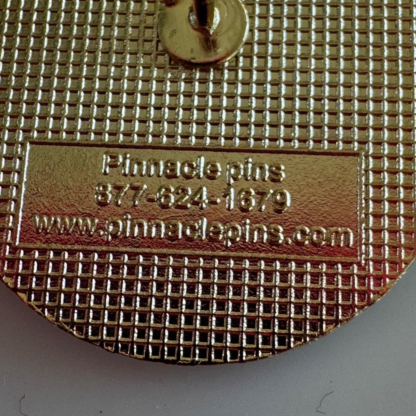 Vintage Constitutional Officers Association of Georgia Lapel Pin COAG