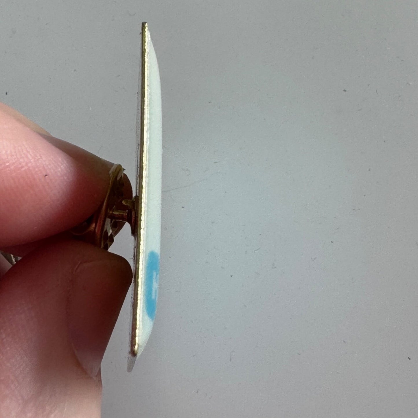 Vintage The YMCA Hall of Fame Lapel Pin Volunteer