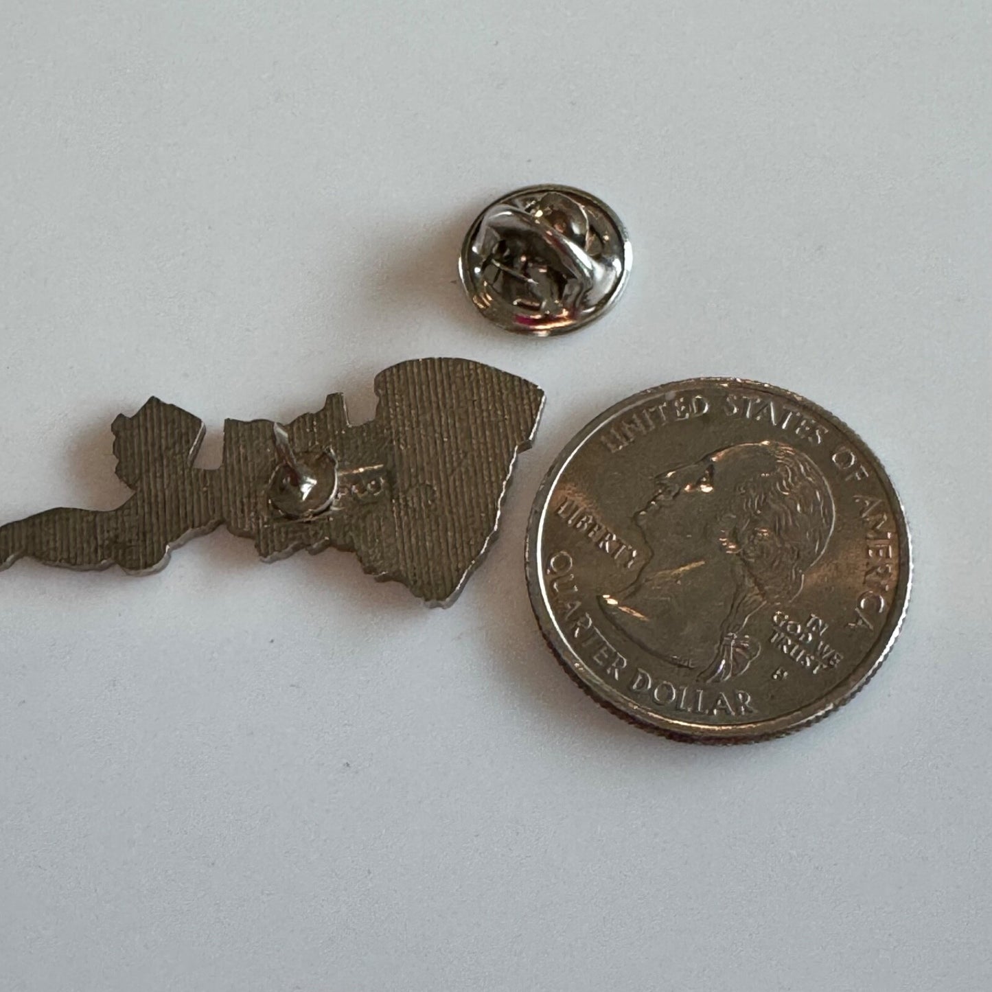 Vintage Clear Lake California Souvenir Tourist Lapel Pin