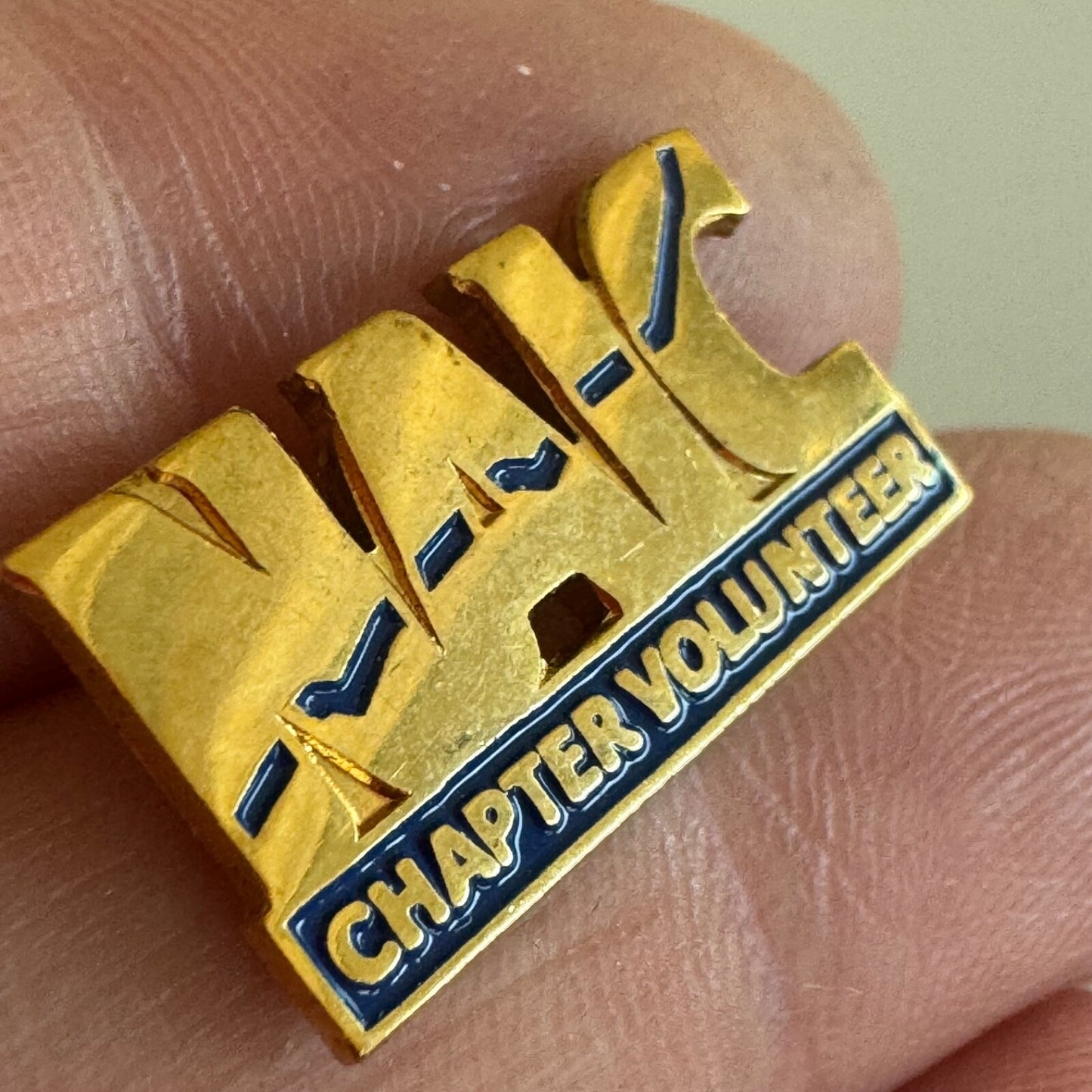 Vtg National Association of Investment Clubs NAIC Chapter Volunteer Lapel Pin
