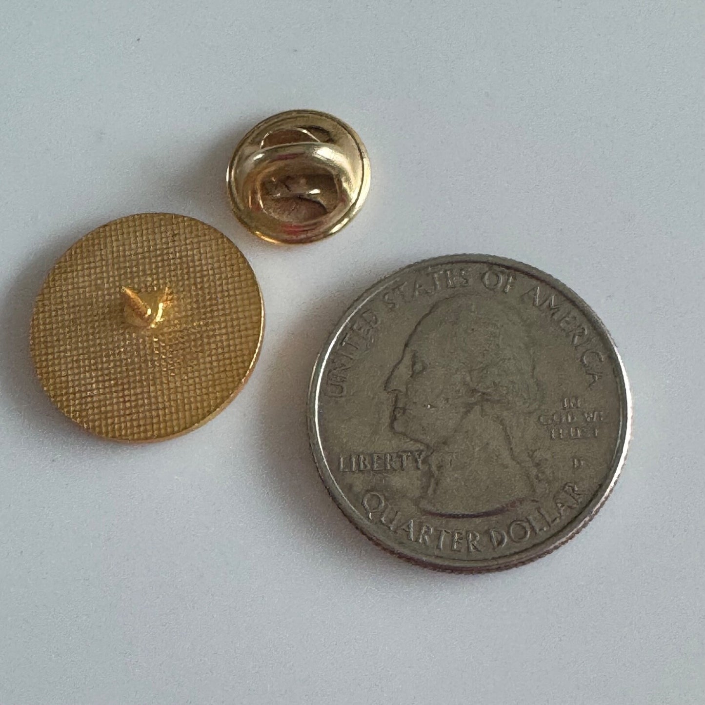 Vtg College of Chaplains American Protestant Health Association APHA Fellow Pin