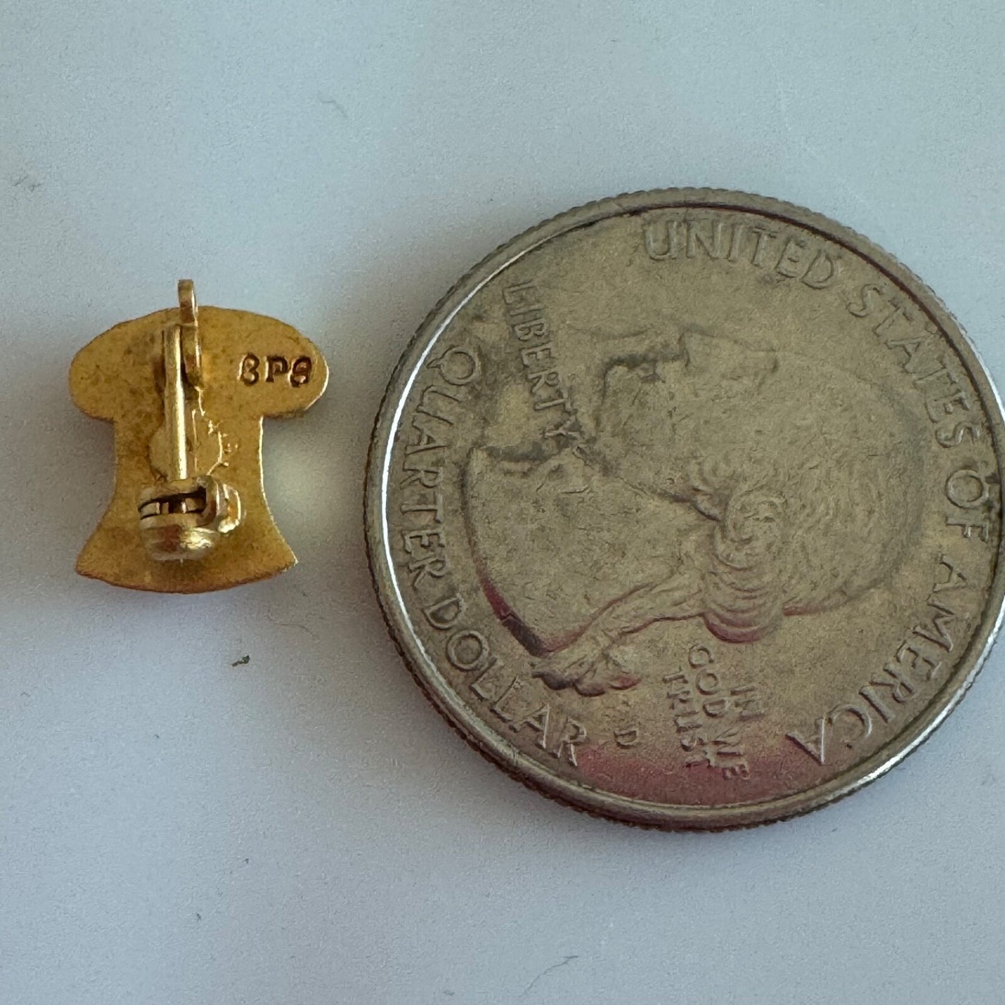 Vintage Alpha Omicron Pi Pledge Pin New Member