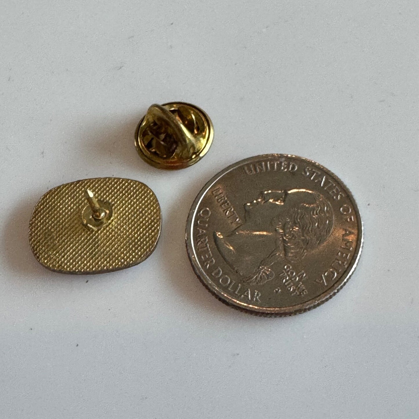 Vintage Delaware Small Wonder Souvenir Tourist Lapel Pin