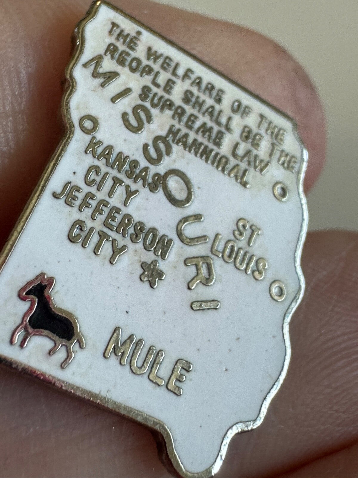 Vintage Missouri Mule Souvenir Tourist Lapel PIn