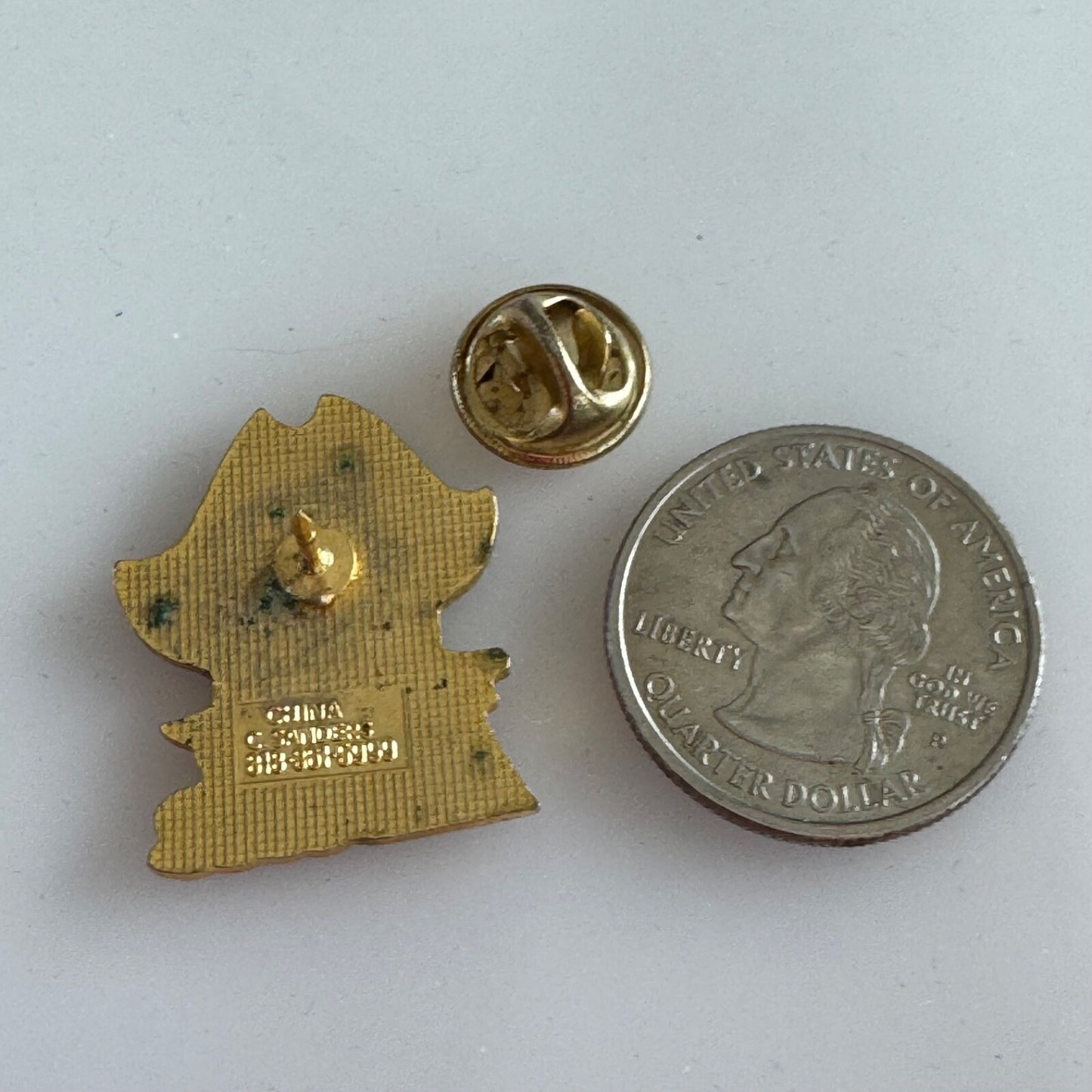 Vintage Pasco County School Pirates Lapel Pin Mascot High School Florida