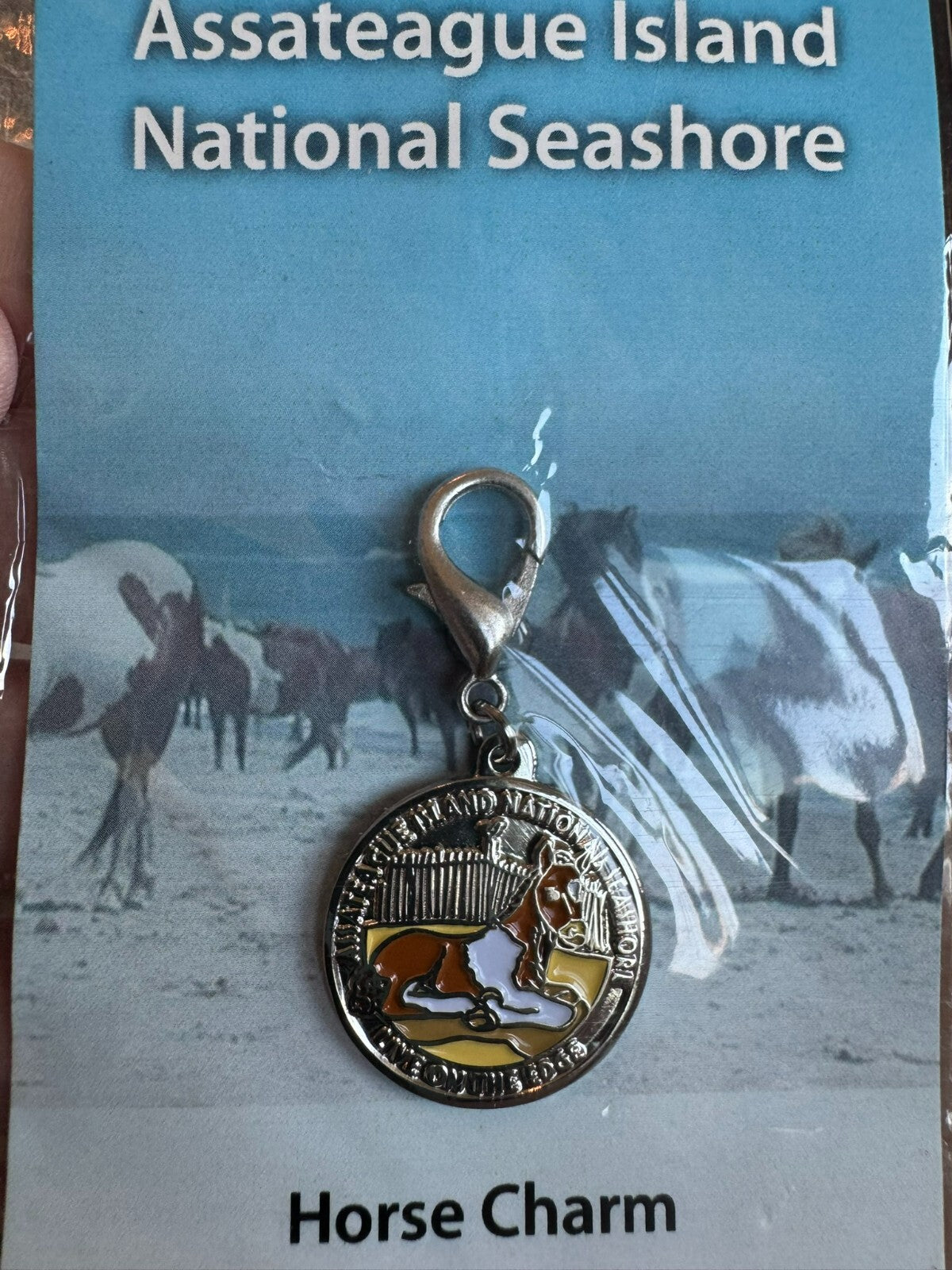 Assateague Island National Seashore Horse Charm