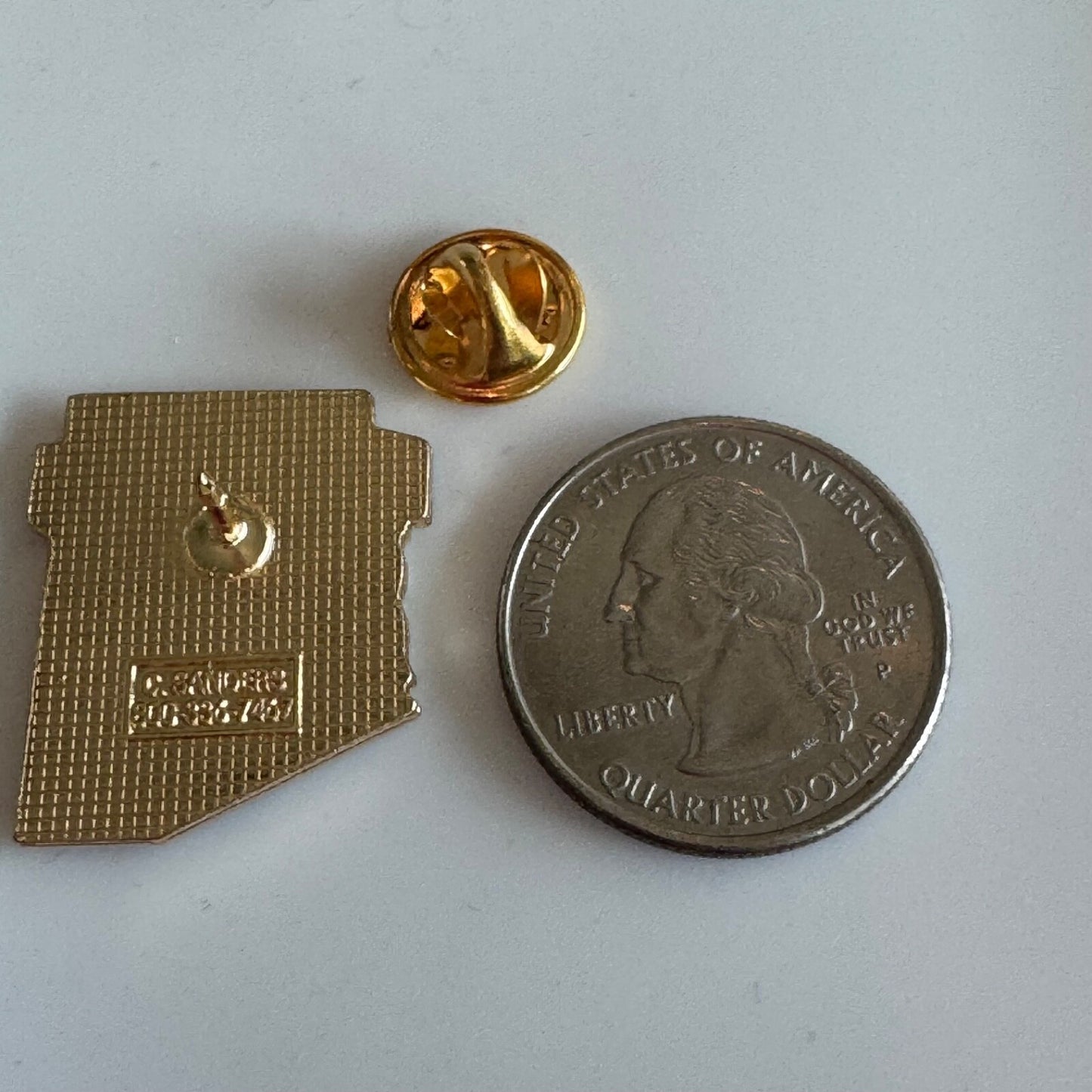 Fiesta Grande Volunteer 2017-2018 Casa Grande AZ Cactus Pin