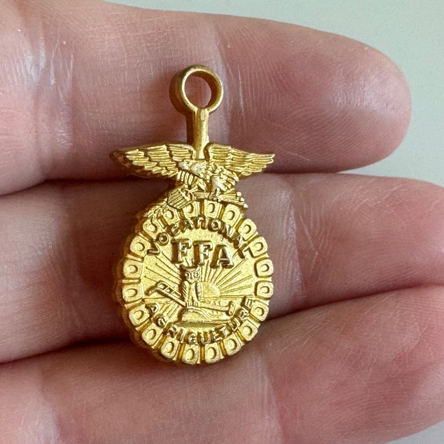 Vintage State FFA Degree Key Pin Vocational Agriculture