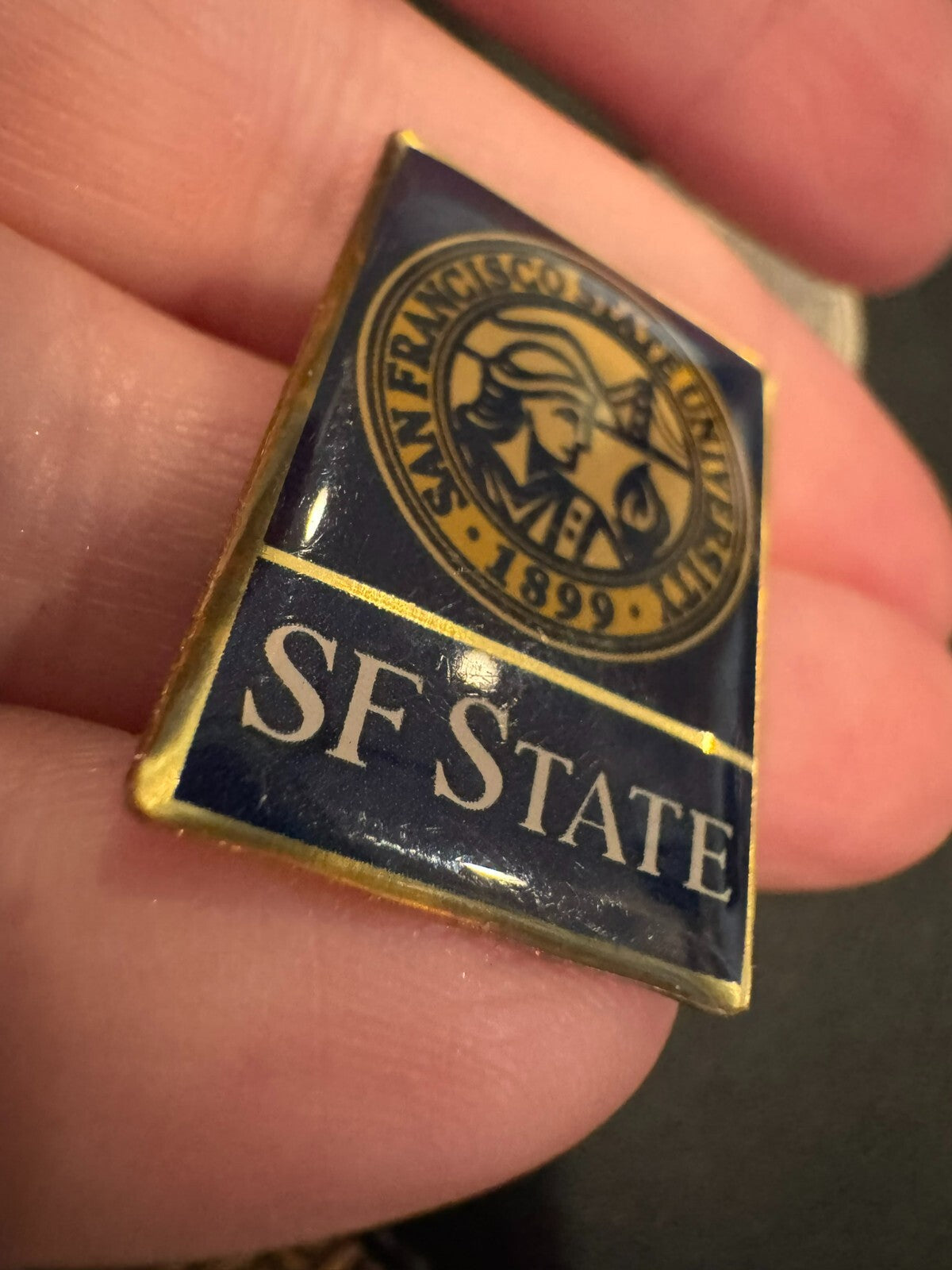 San Francisco State University Lapel Pin SFSU