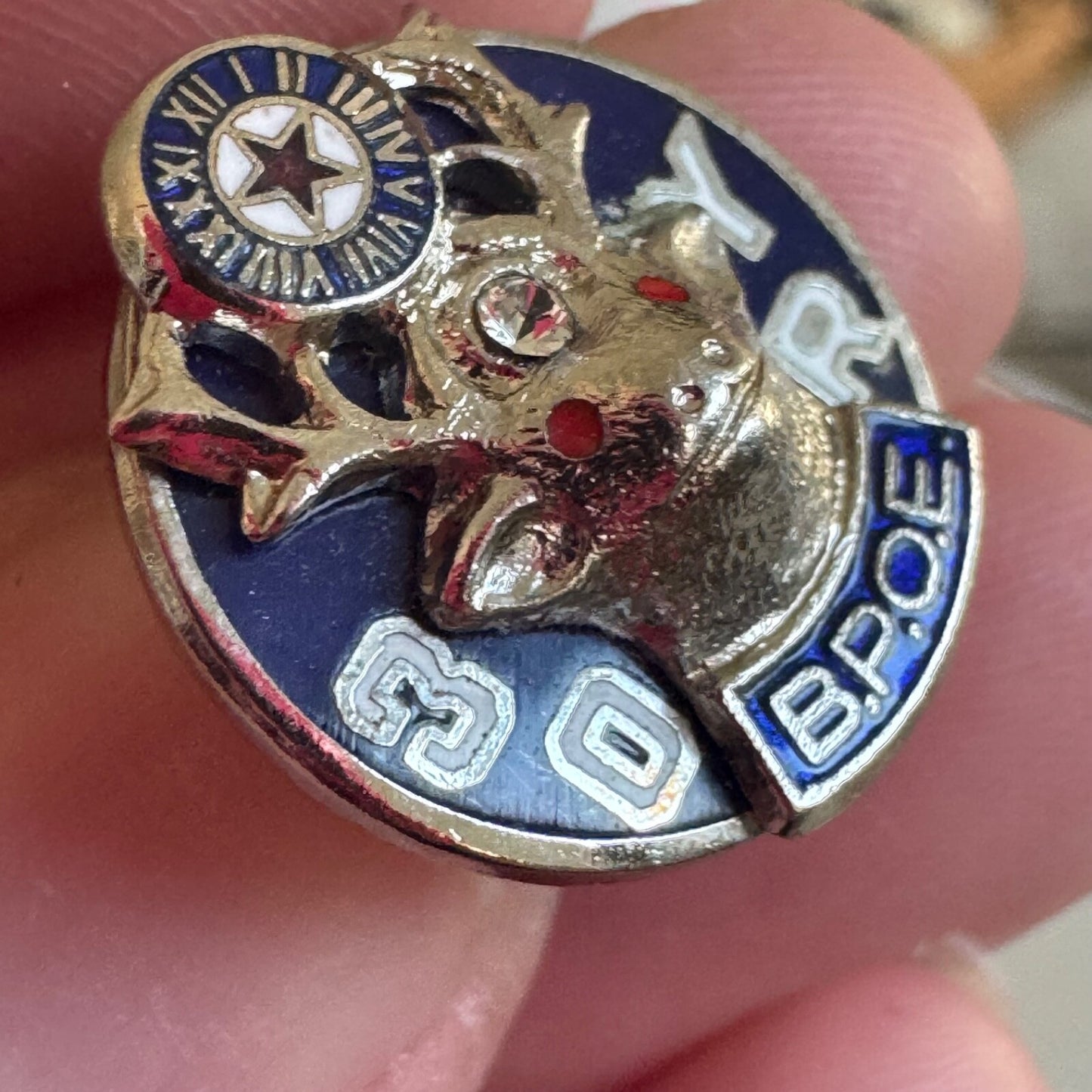 Very Nice Benevolent and Protective Order of Elks 30 Year Member Award Pin BPOE