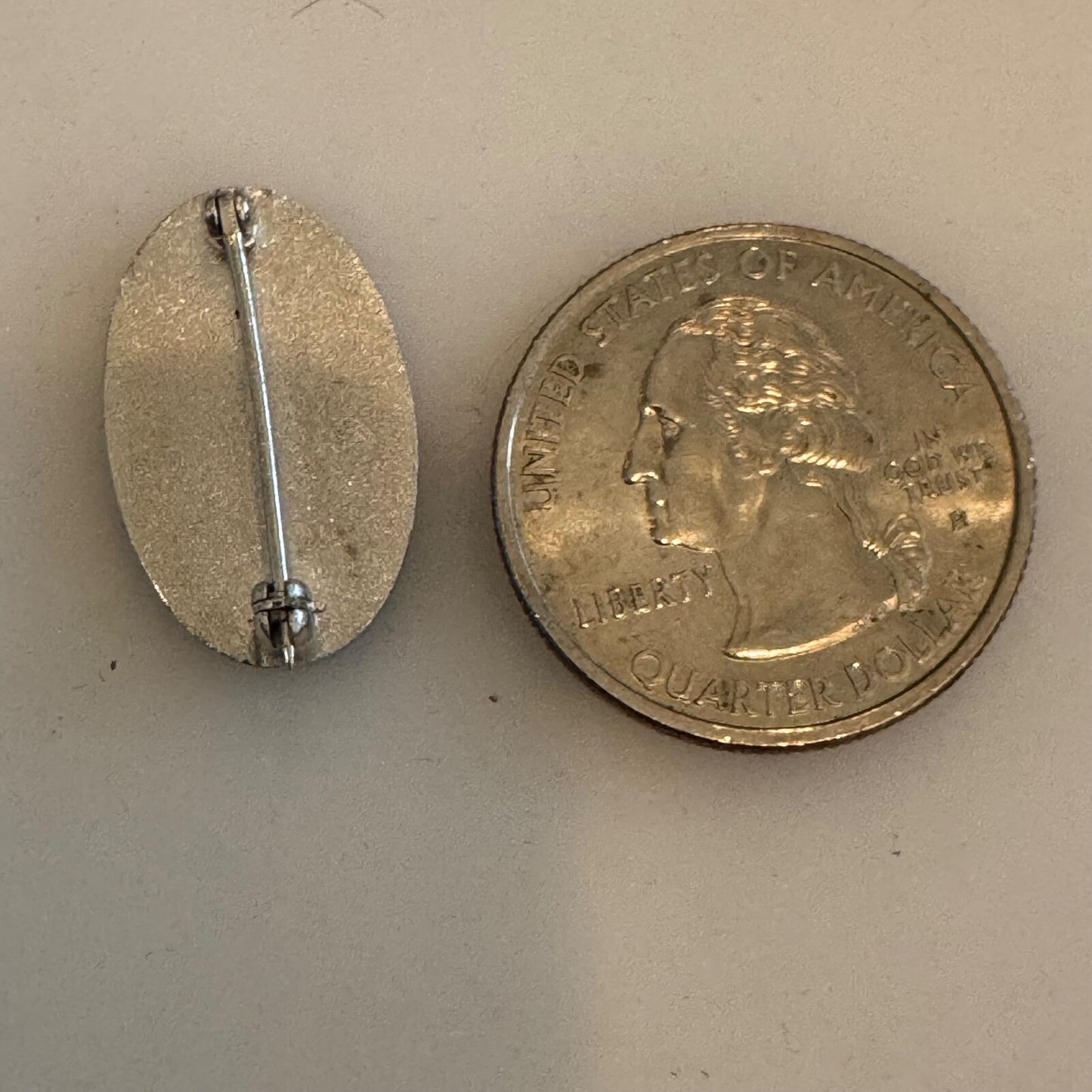 DSSPA Enamel Lapel Pin - Direct Support Services of Pennsylvania ?