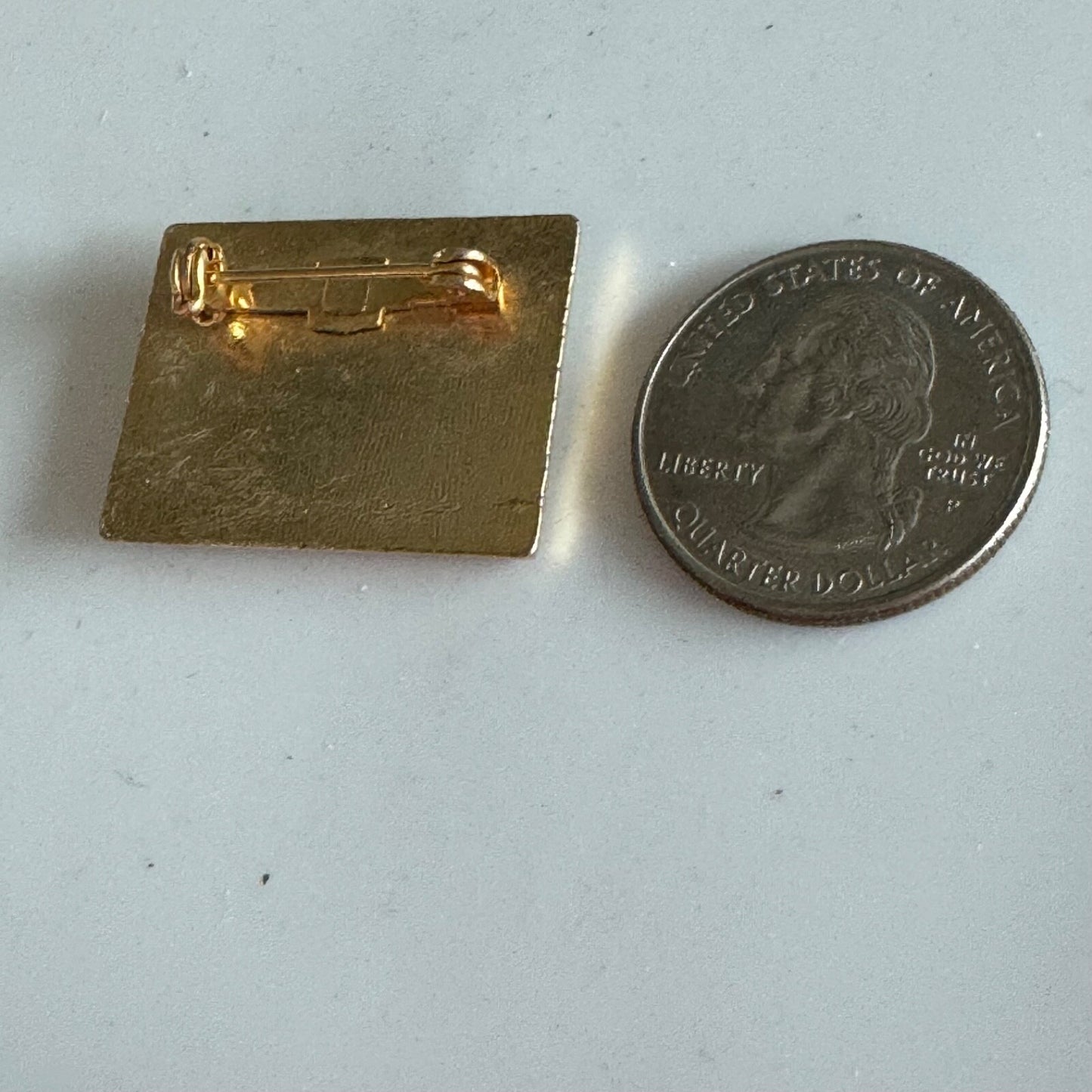 Vintage US Ski Team USA Map Enamel Sports Lapel Pin