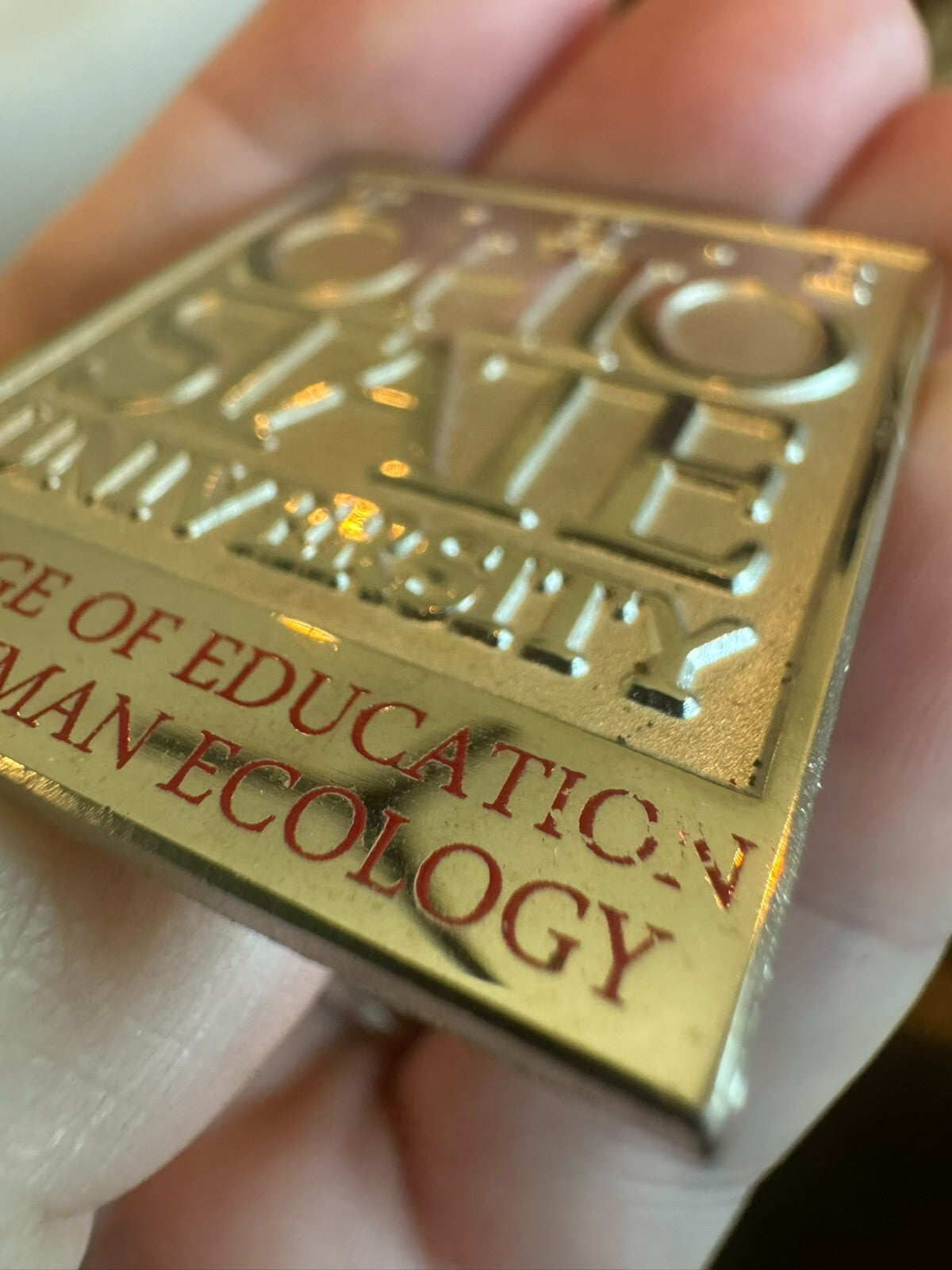 The Ohio State University College of Education and Human Ecology Pin OSU