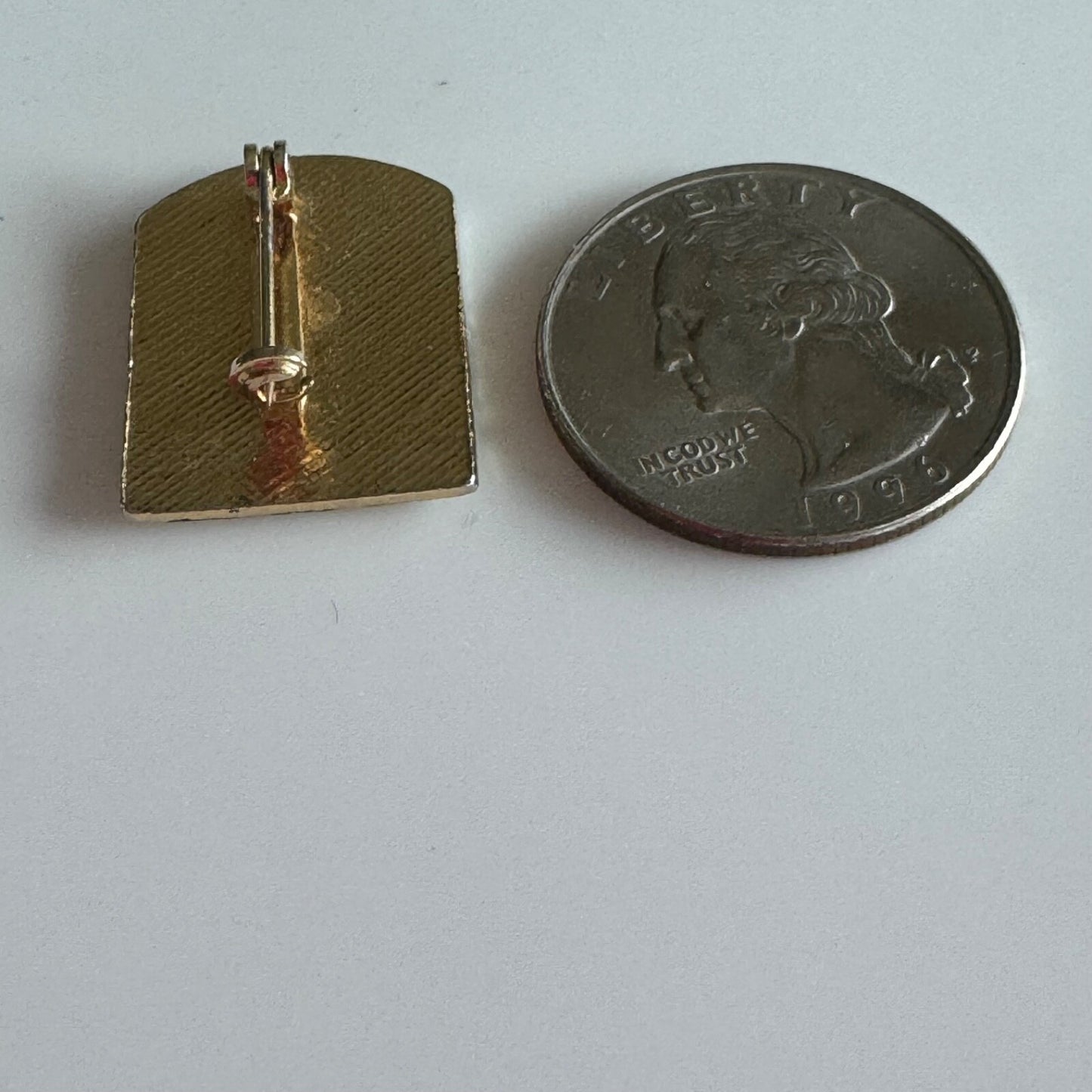 Vintage The Big Mountain Ski Skiing Lapel Pin Whitefish Montana