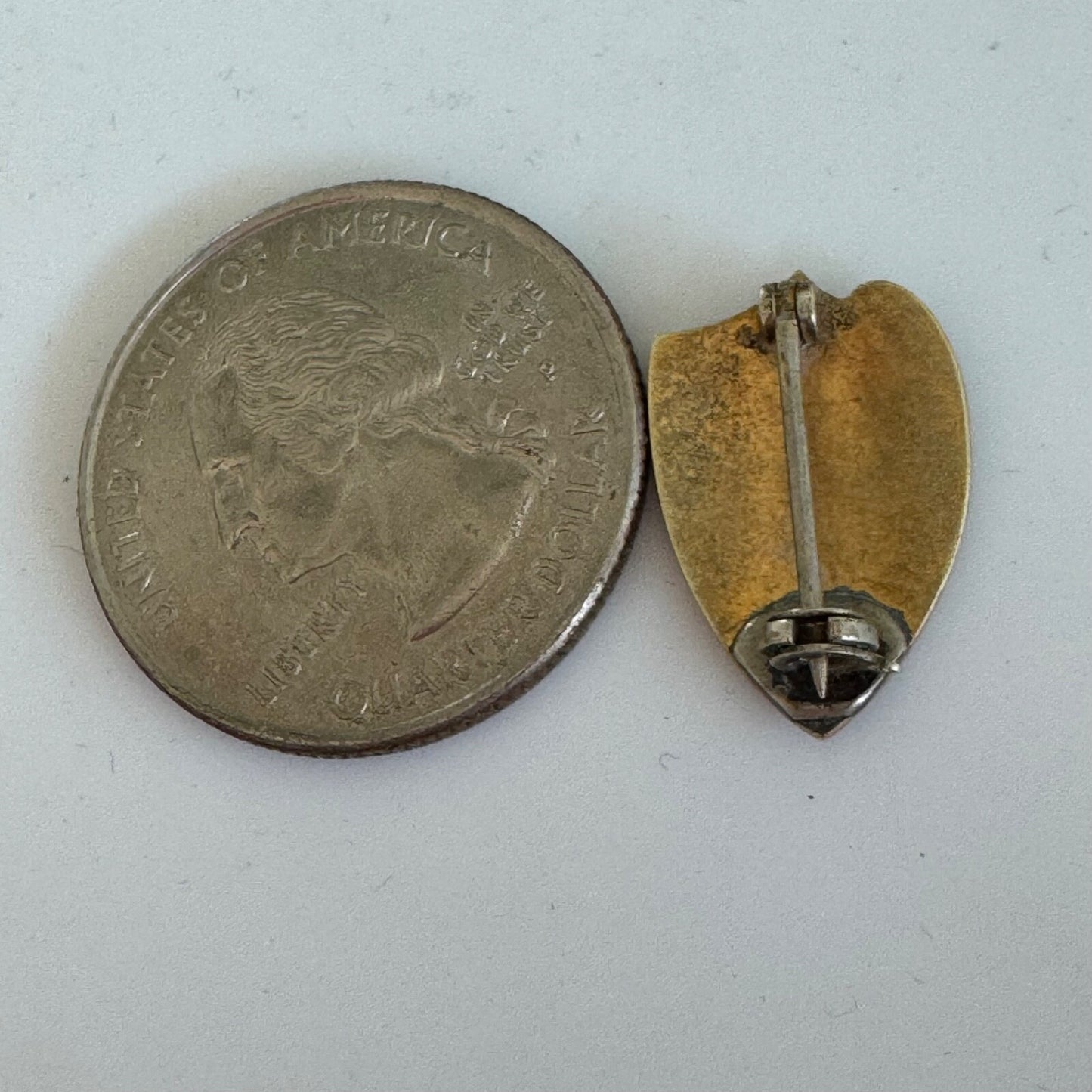 Vintage Roosevelt High School RHS School Shield Enamel Lapel Pin Red Black