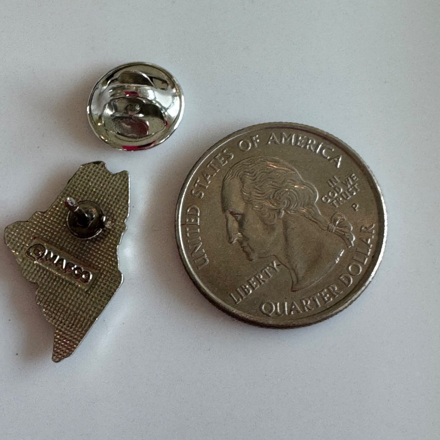 Vintage Maine State Shape Scenic Lapel Pin