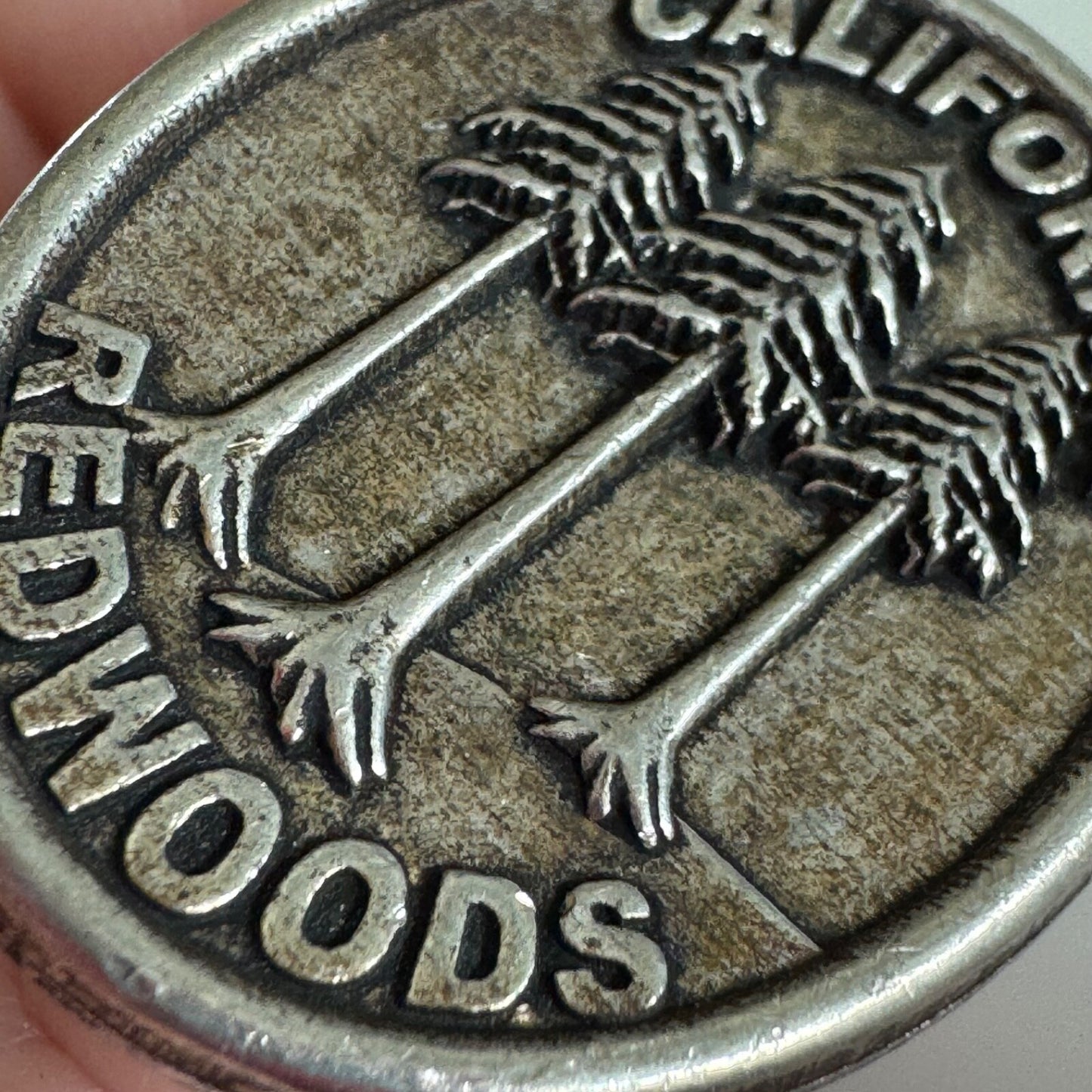 Vintage California Redwoods Tree Souvenir Lapel Pin – California, USA