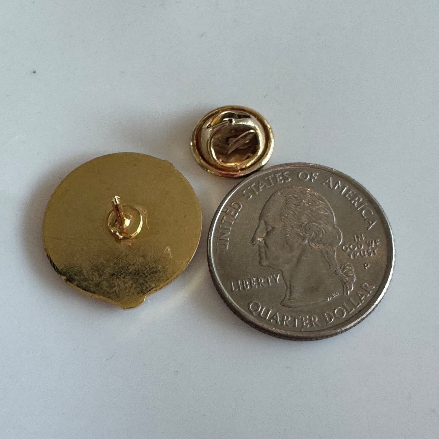 Vtg Licensed Practical Nurses Association of Florida Enamel Pin Healthcare Badge