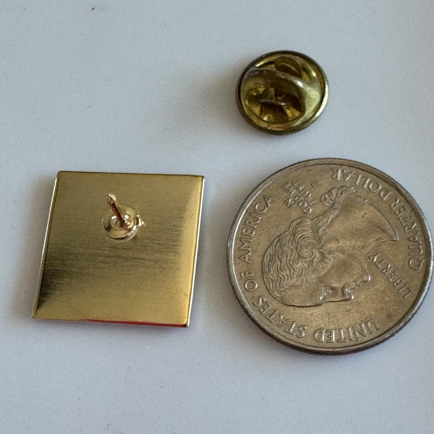 Roanoke Valley of Virginia Natural Place to Play Train Pin