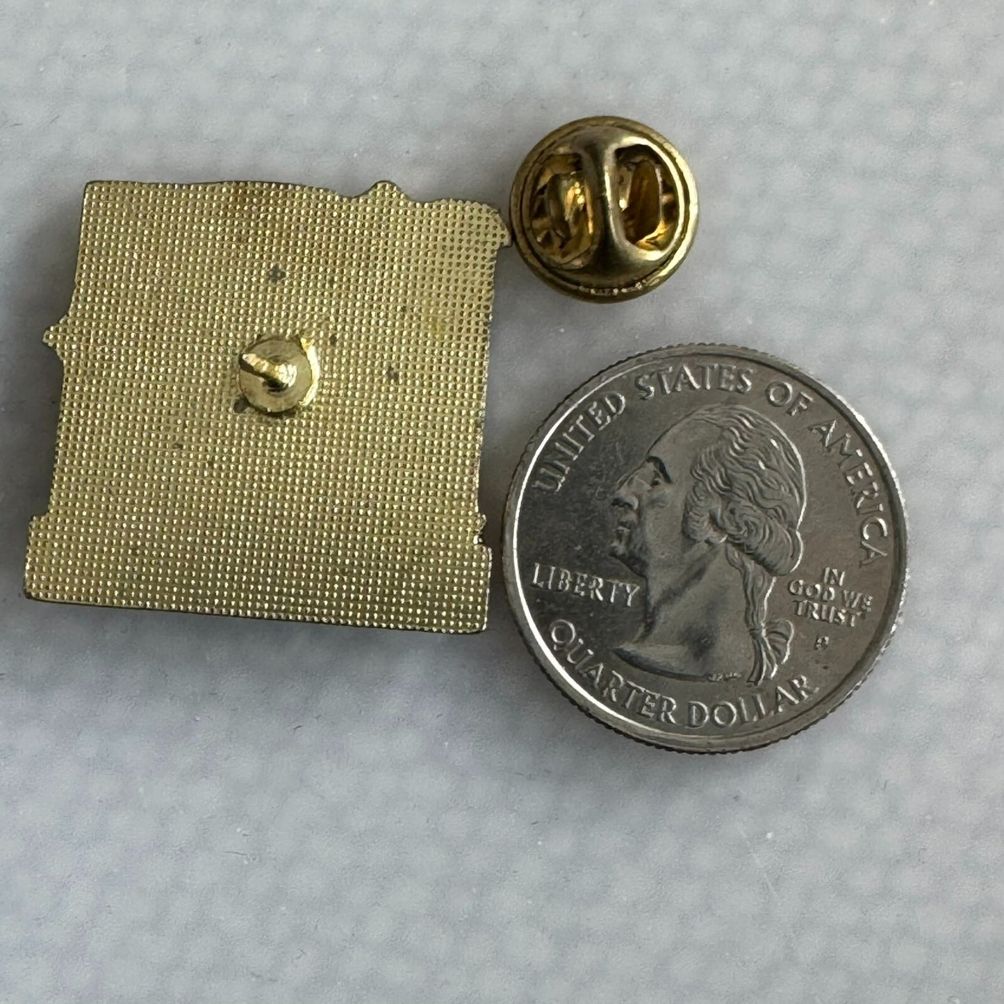 Vintage Branson Missouri Souvenir Lapel Pin MO