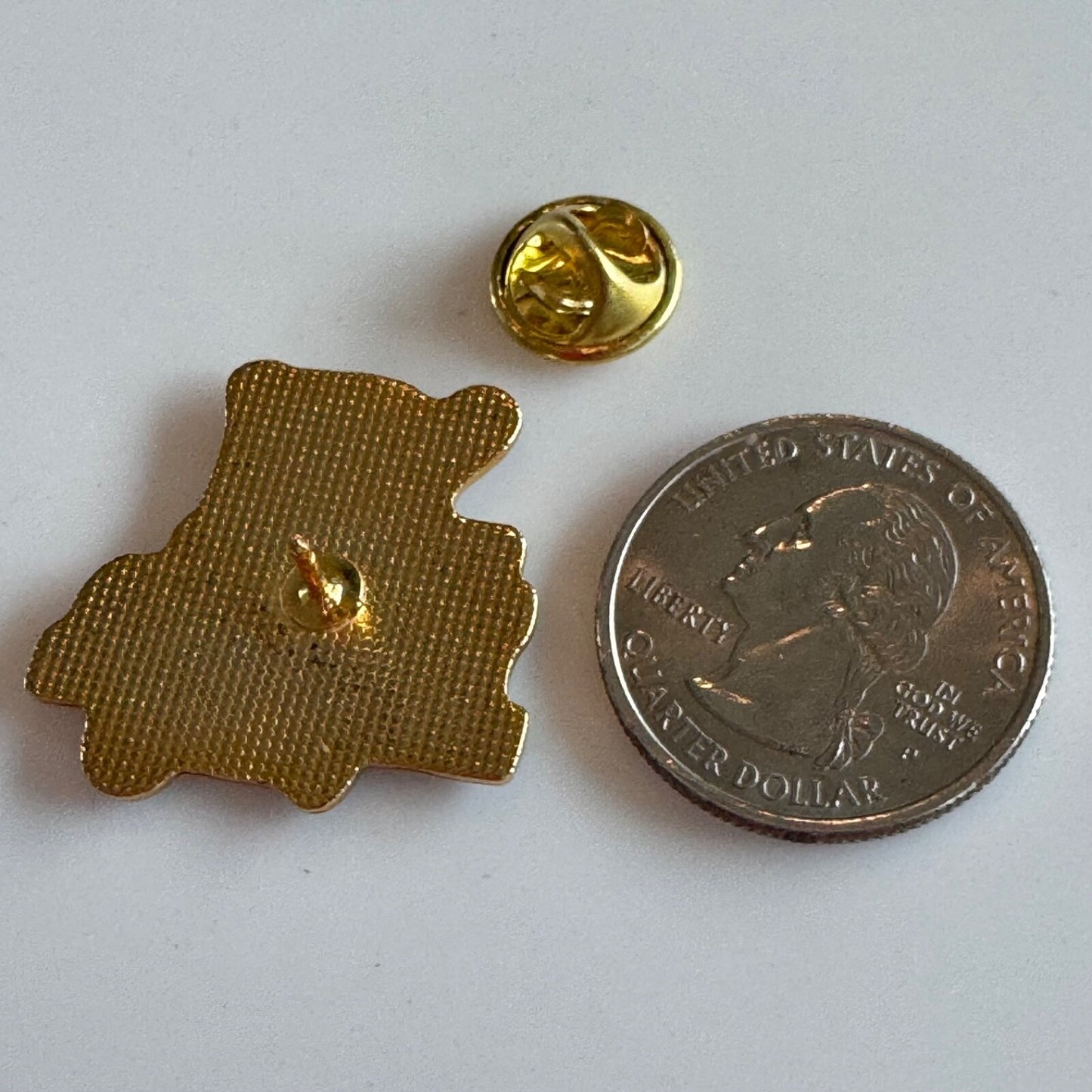 Florida The Sunshine State Flag Lapel Pin Souvenir Tourist