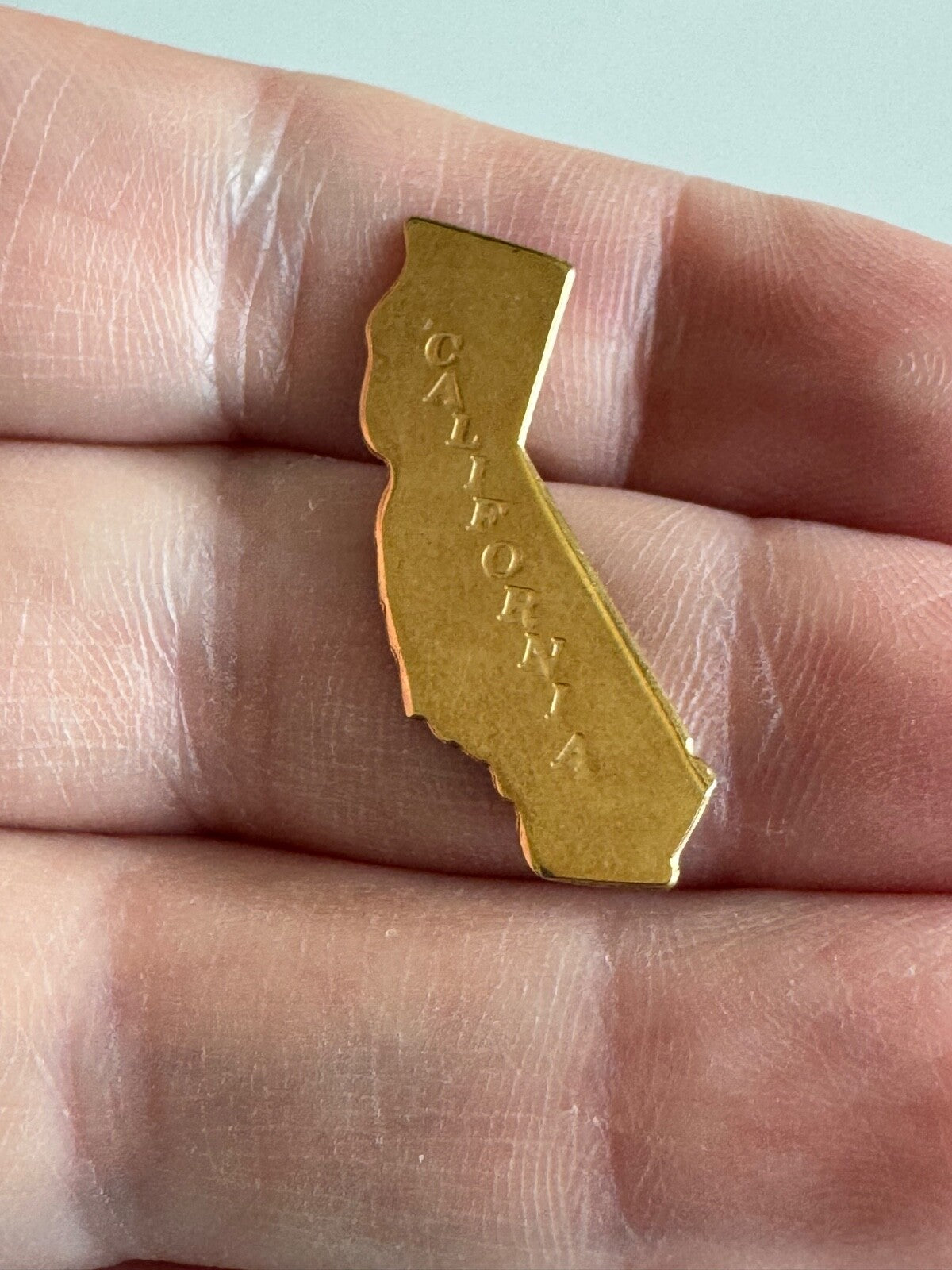 Vintage Gold Tone State Shaped Scatter Pin Tie Tack