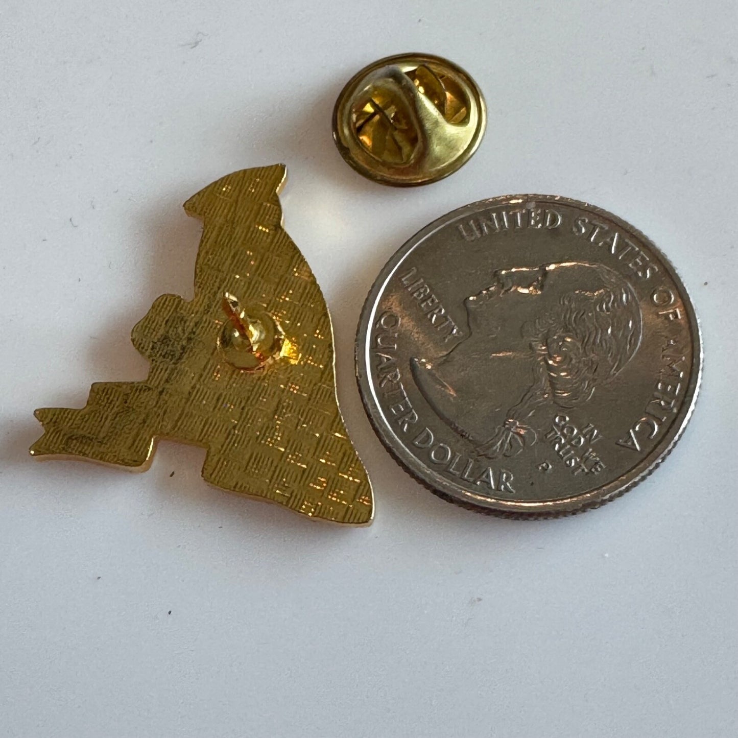 Vintage Virginia Souvenir Tourist Lapel Pin Cardinal Dogwood