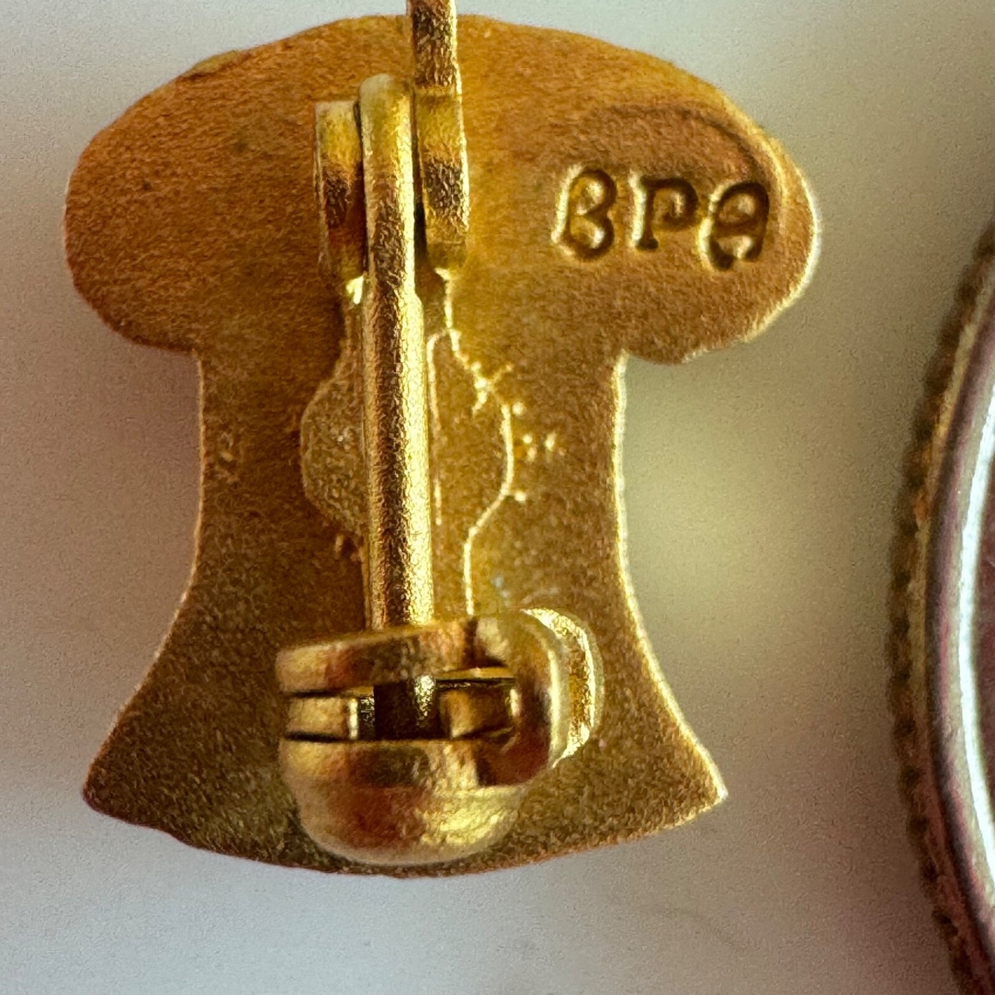 Vintage Alpha Omicron Pi Pledge Pin New Member